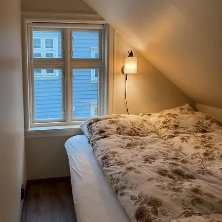 Villaer Varmt Og Hjemmekoselig Bergenshus Med 2 - I Rolig Smau I Hjertet Av Bergen